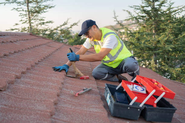 Best Metal Roofing Contractor  in Winter Beach, FL